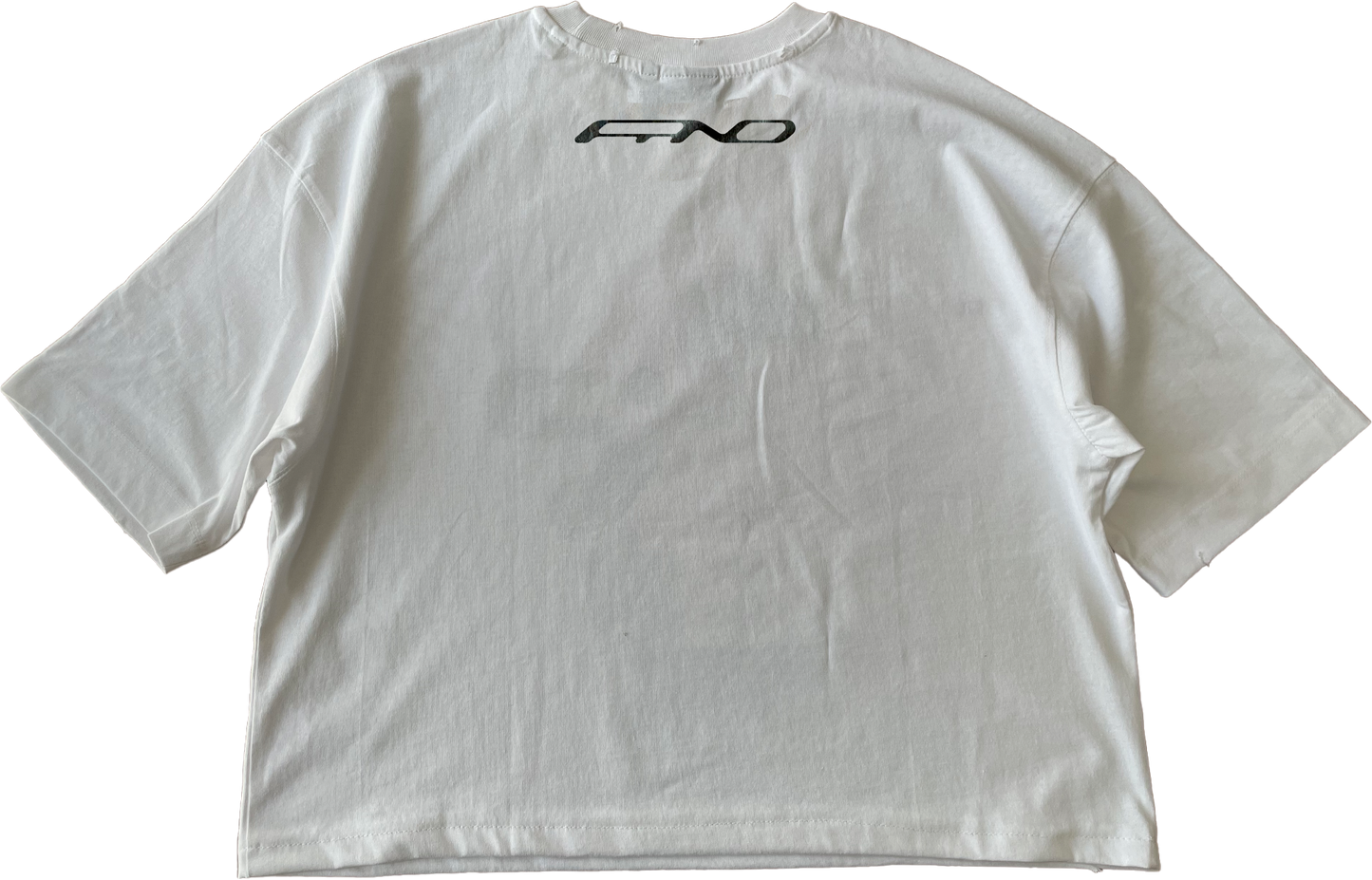 first collection "T-shirt"