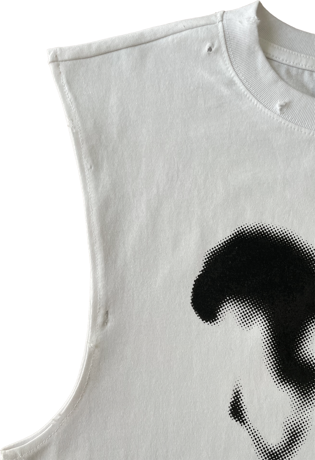 first collection "T-shirt"