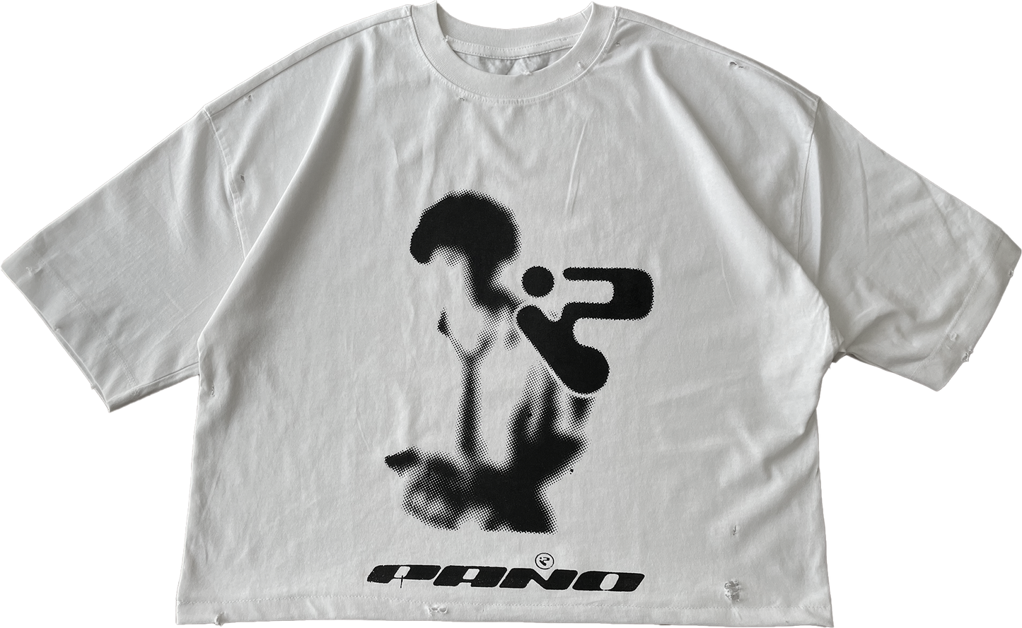 first collection "T-shirt"